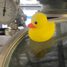 10 Rubber ducky on top of beer barrel