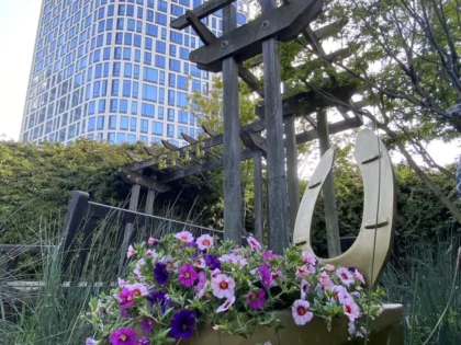 image of Epic garden and toilet planter with flowers in it with Fifteen Fifty building in the background