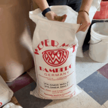 5 One of the beer ingredients