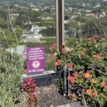 Waldorf Astoria Beverly Hills rooftop garden