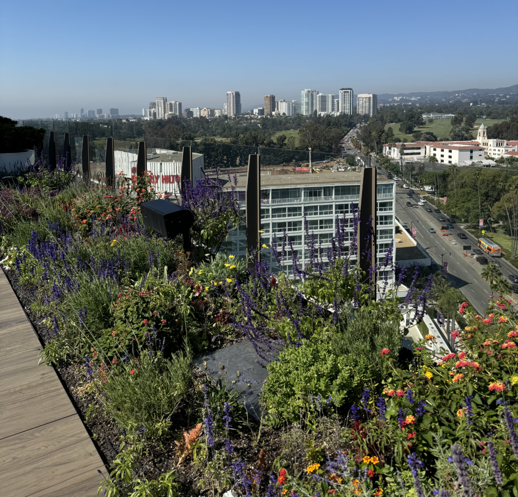 Waldorf Astoria Beverly Hills rooftop garden 2