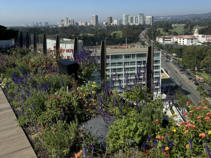 Waldorf Astoria Beverly Hills rooftop garden 2