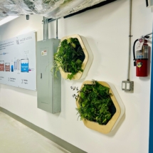 system process graphic and plants on wall