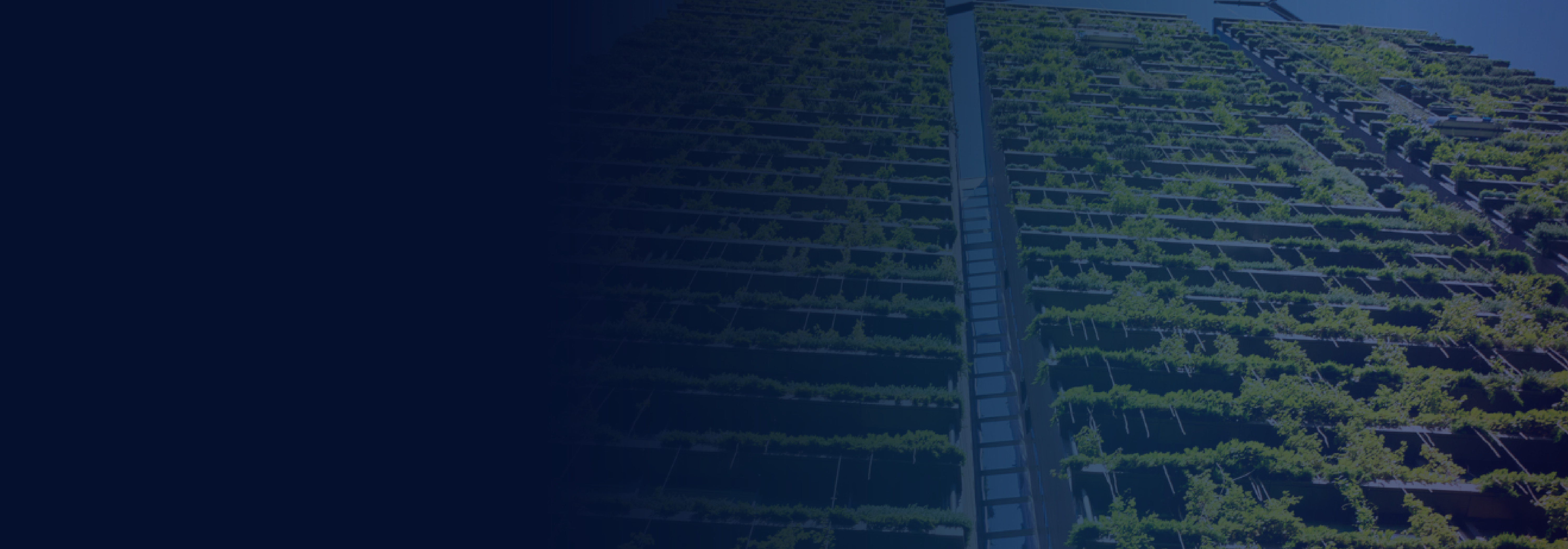 green wall with overlay gradient effect