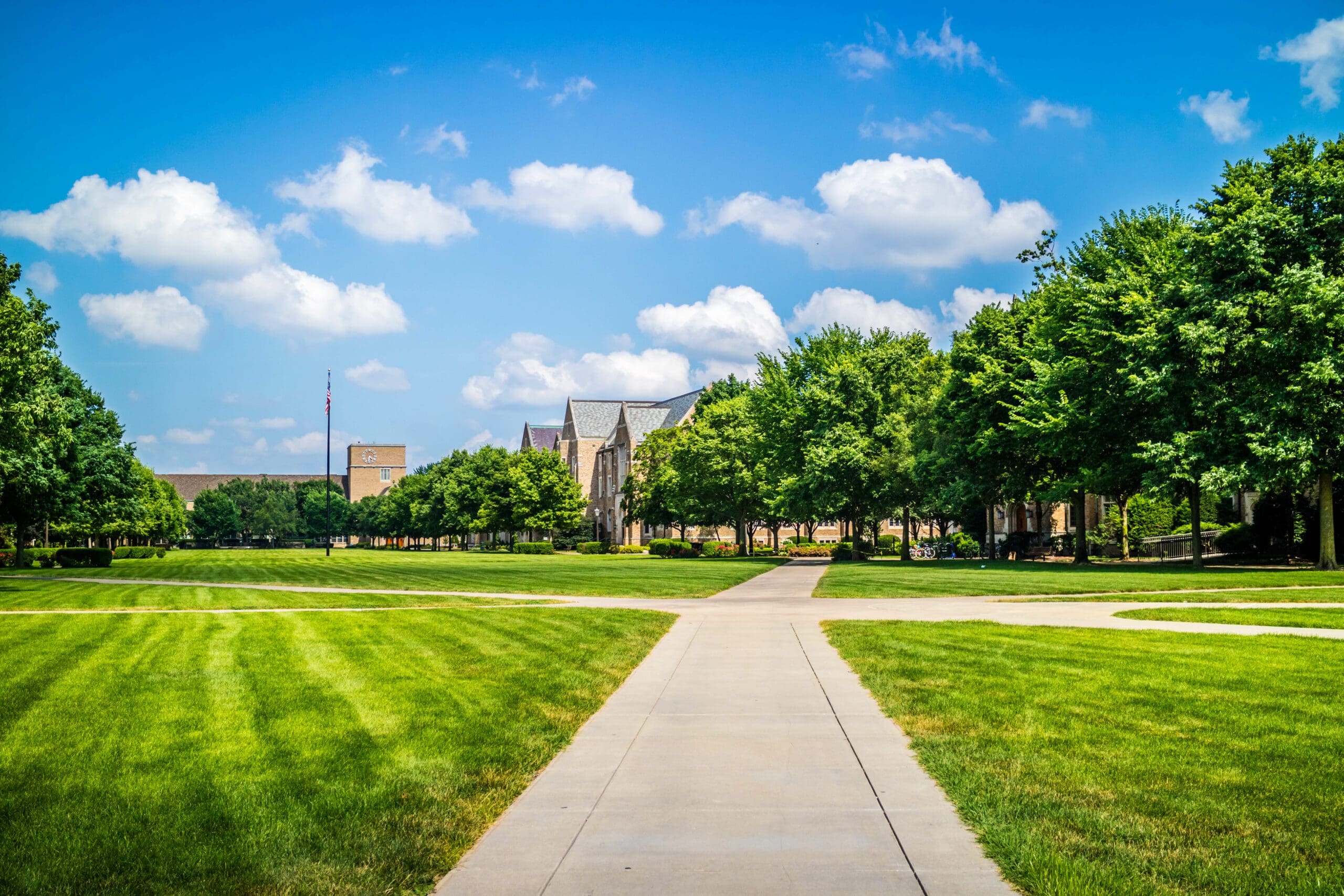 College campus walkway lined with green lawns and lush trees