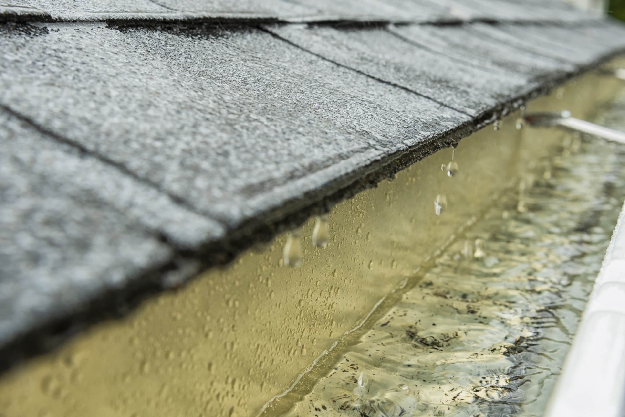 Close-up of rain dripping into aluminum seamless gutters as it runs off the new architectural shingles.