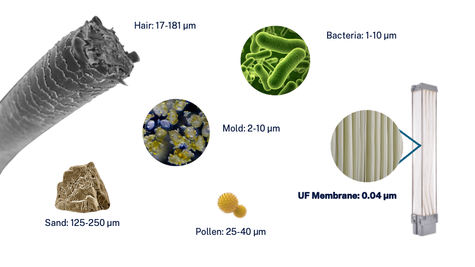 Image of several different examples of micron (µm) measured items like human hair, pollen, bacteria and ultrafiltration membranes  
