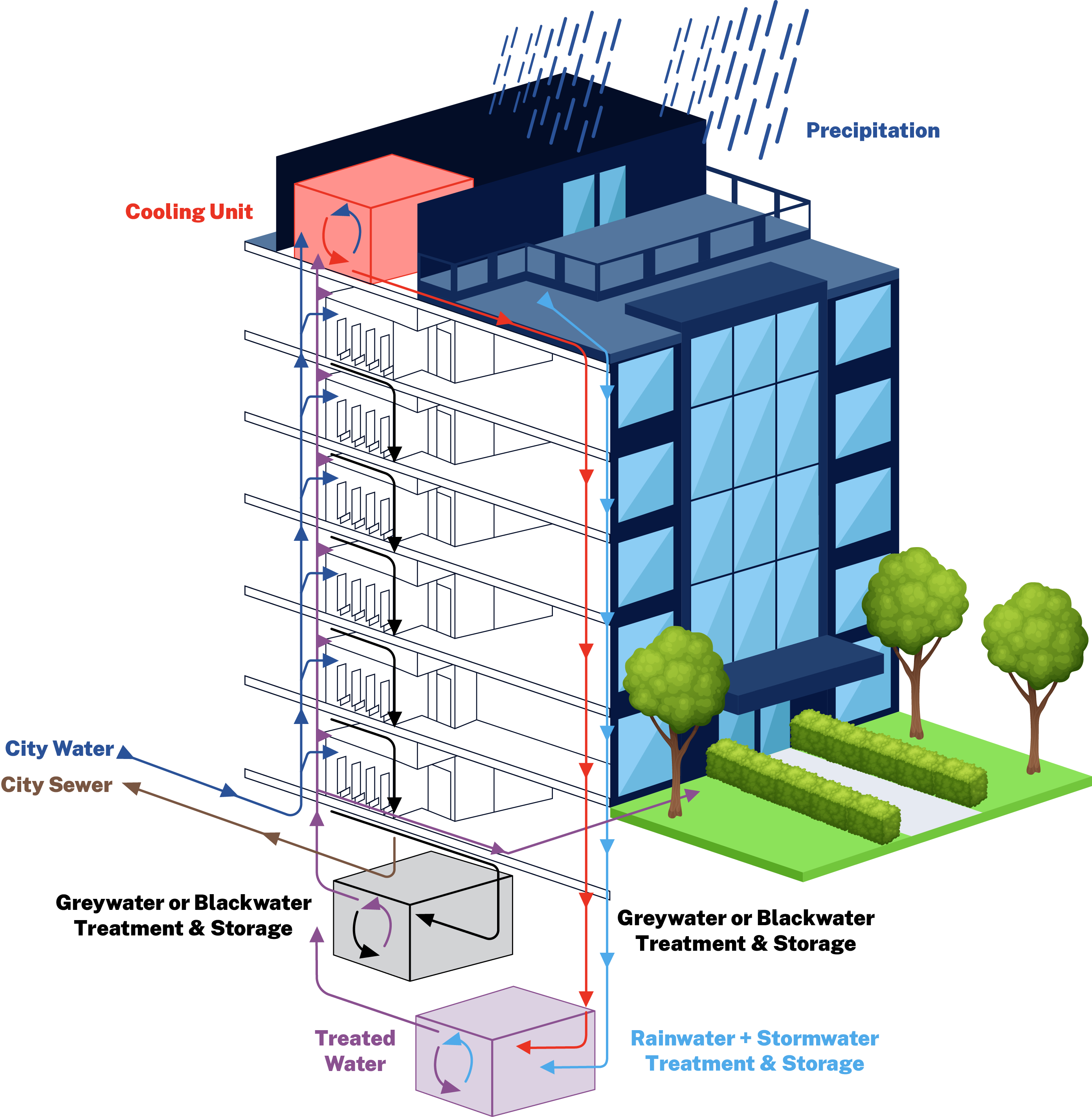 graphic illustration of rainwater + condensate collection from a building and the process of treatment and reuse back into the building