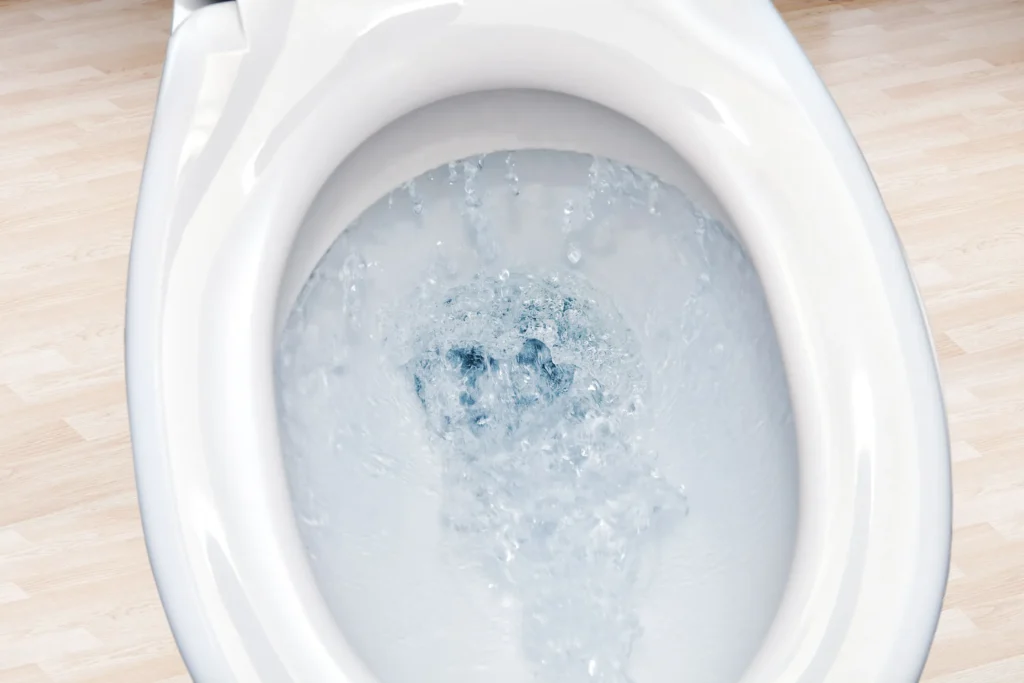 image of toilet flushing
