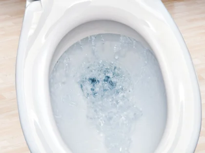 image of toilet flushing